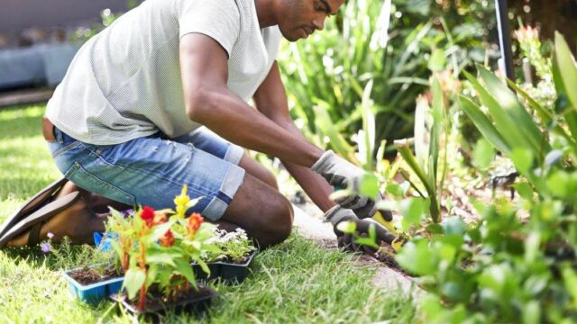 trusted_local_gardeners_gardening_service.webp.1200x630_q85_crop-smart